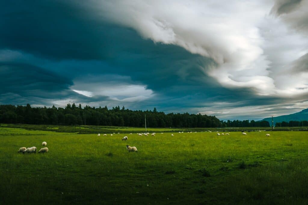 Naturephotography-1